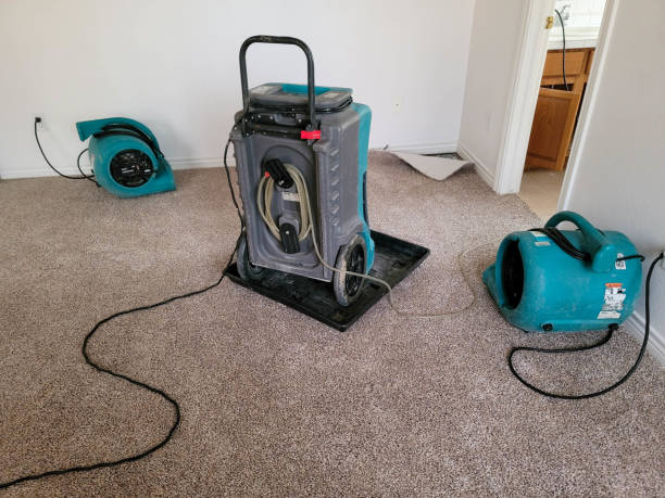 Carpet water damage restoration in Waimea, HI